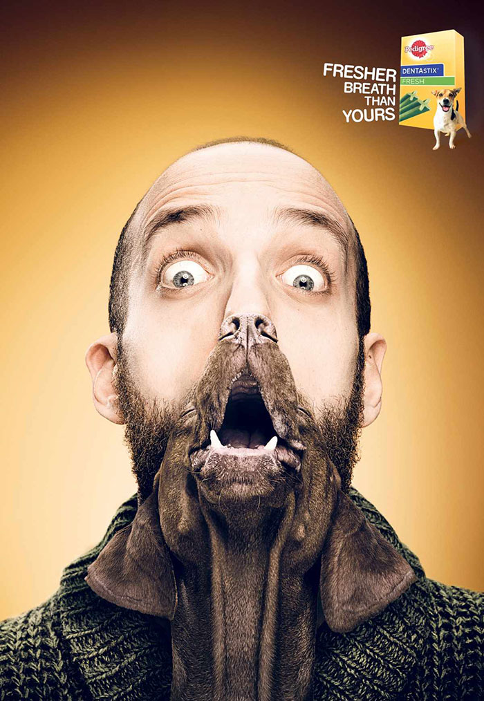 Животные в рекламе - 25 забавных плакатов-56