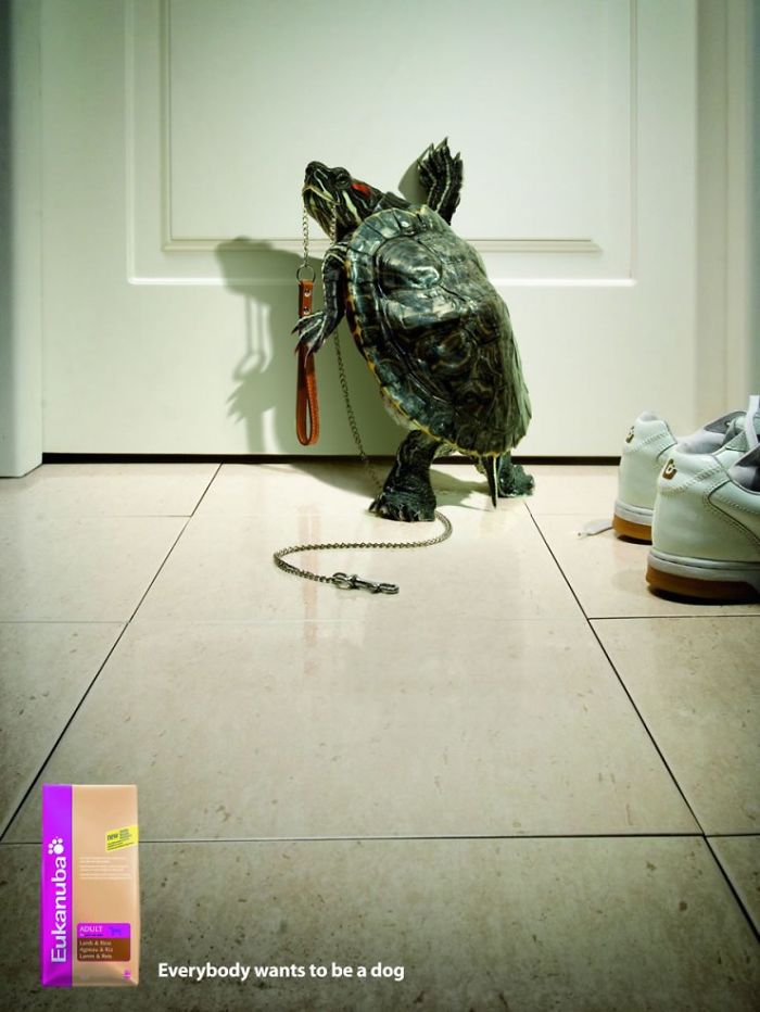 Животные в рекламе - 25 забавных плакатов-52