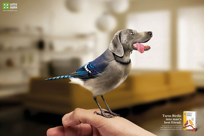 Животные в рекламе - 25 забавных плакатов-75