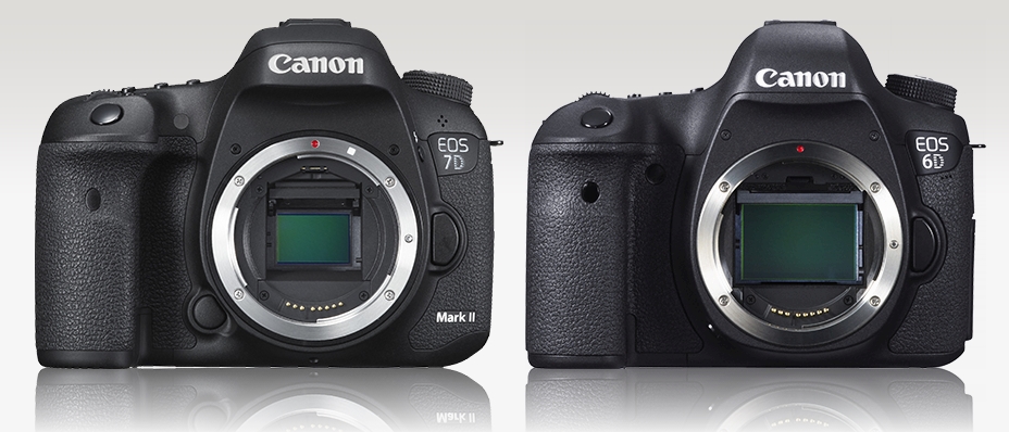 Canon 7D Mark II vs Canon 6D