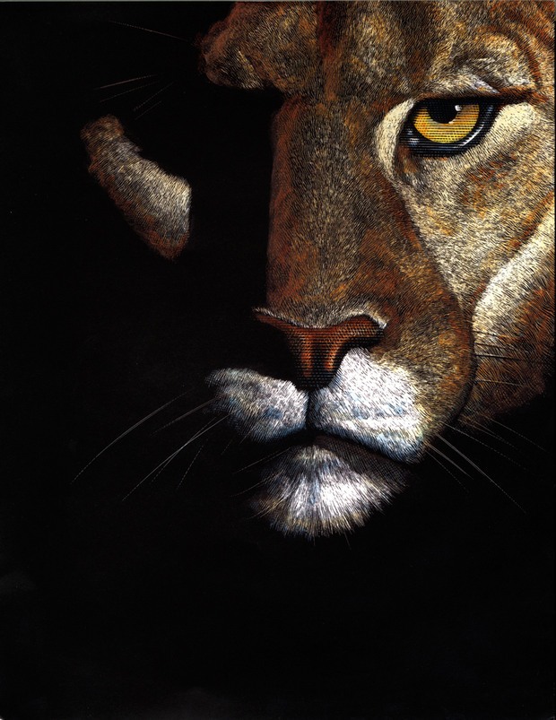 Animal Kingdom by Mark Summers
