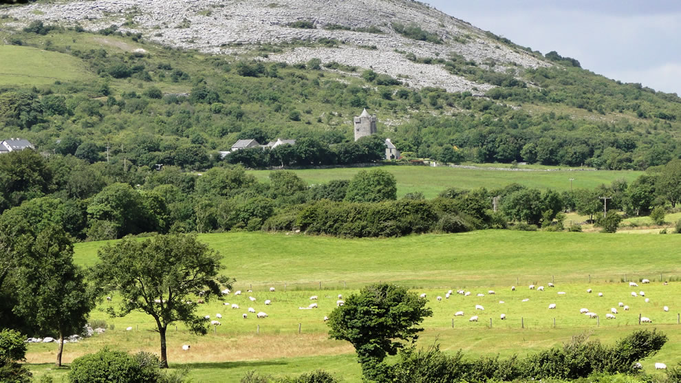 Ирландия - замки, скалы и красивые зелёные пейзажи