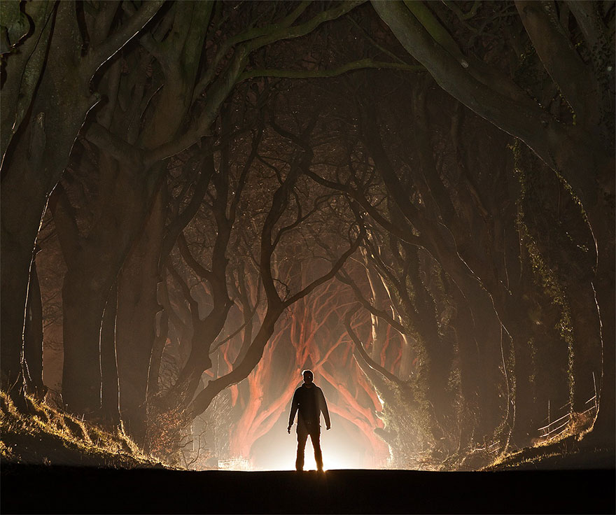 Таинственный туннель деревьев из фильма «Игра престолов»-6