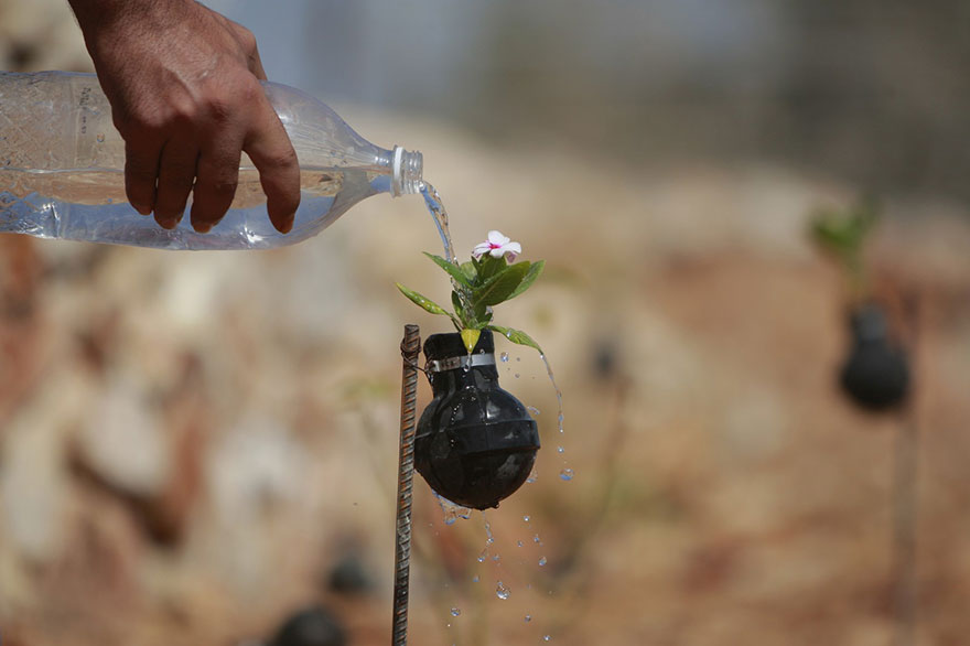 В Палестине выращивают цветы в болванках от гранат со слезоточивым газом-4