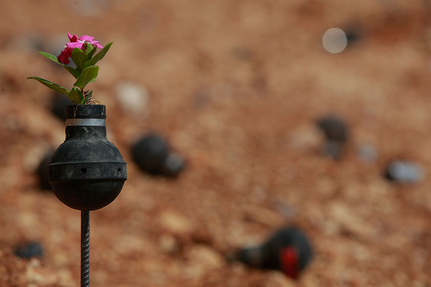 В Палестине выращивают цветы в болванках от гранат со слезоточивым газом-12