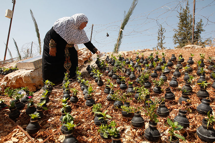 В Палестине выращивают цветы в болванках от гранат со слезоточивым газом-1
