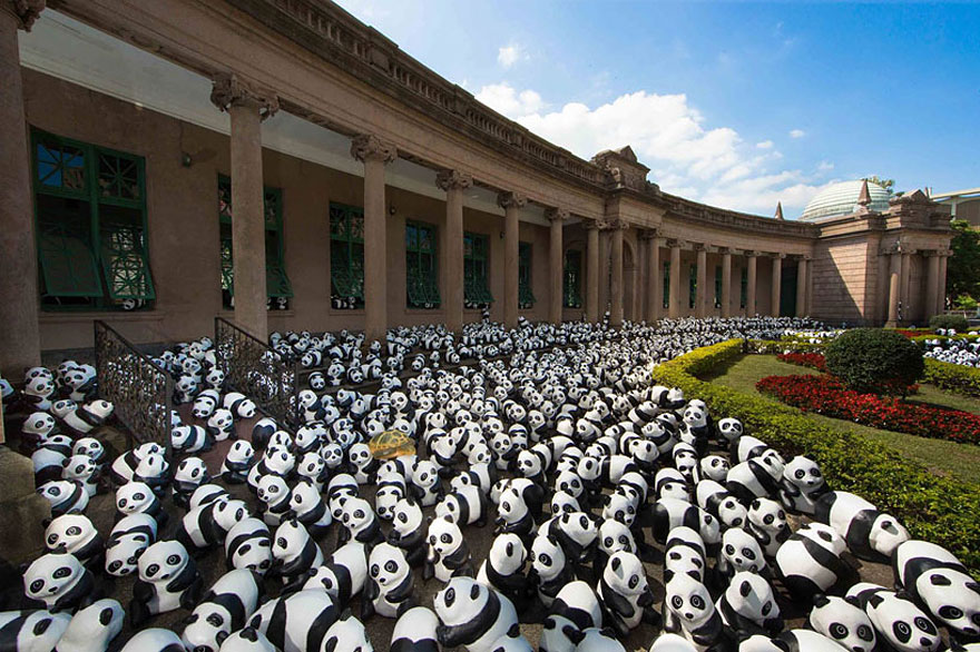 1600 панд из папье-маше на экскурсии по всему миру-7