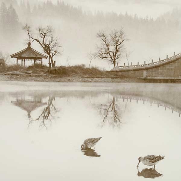 Изысканный живописный мир в фотографии Дон Хонг-Оай