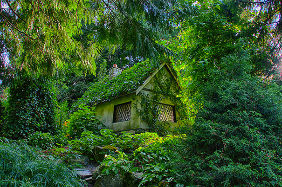 Дом, скрытый в лесу