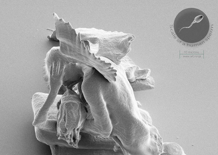 Нано-скульптуры Джонти Гурвица. Самые микроскопические фигуры людей в мире-3