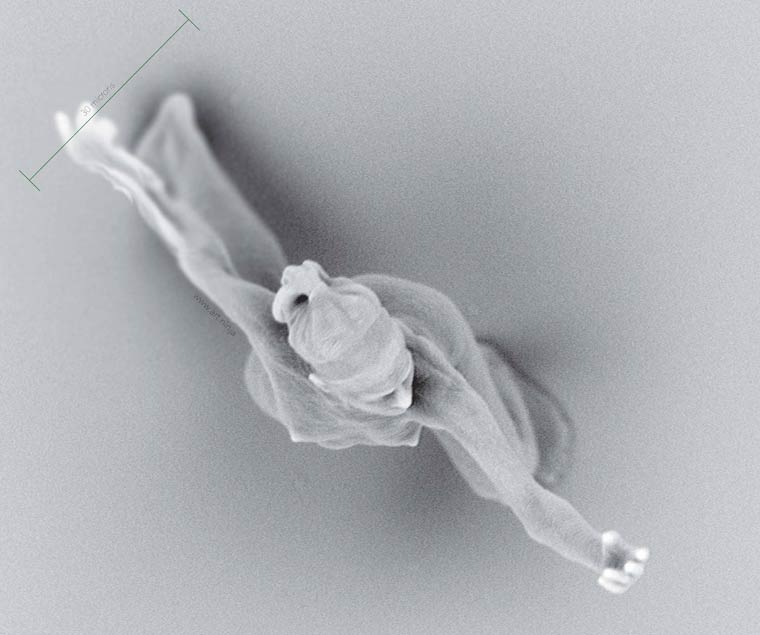 Нано-скульптуры Джонти Гурвица. Самые микроскопические фигуры людей в мире-12