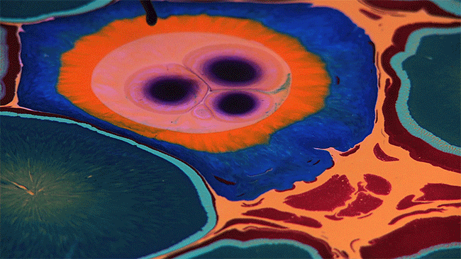 Психоделические краски в картинах Брюса Райли