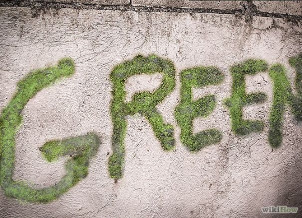 Экологически чистое граффити изо мха