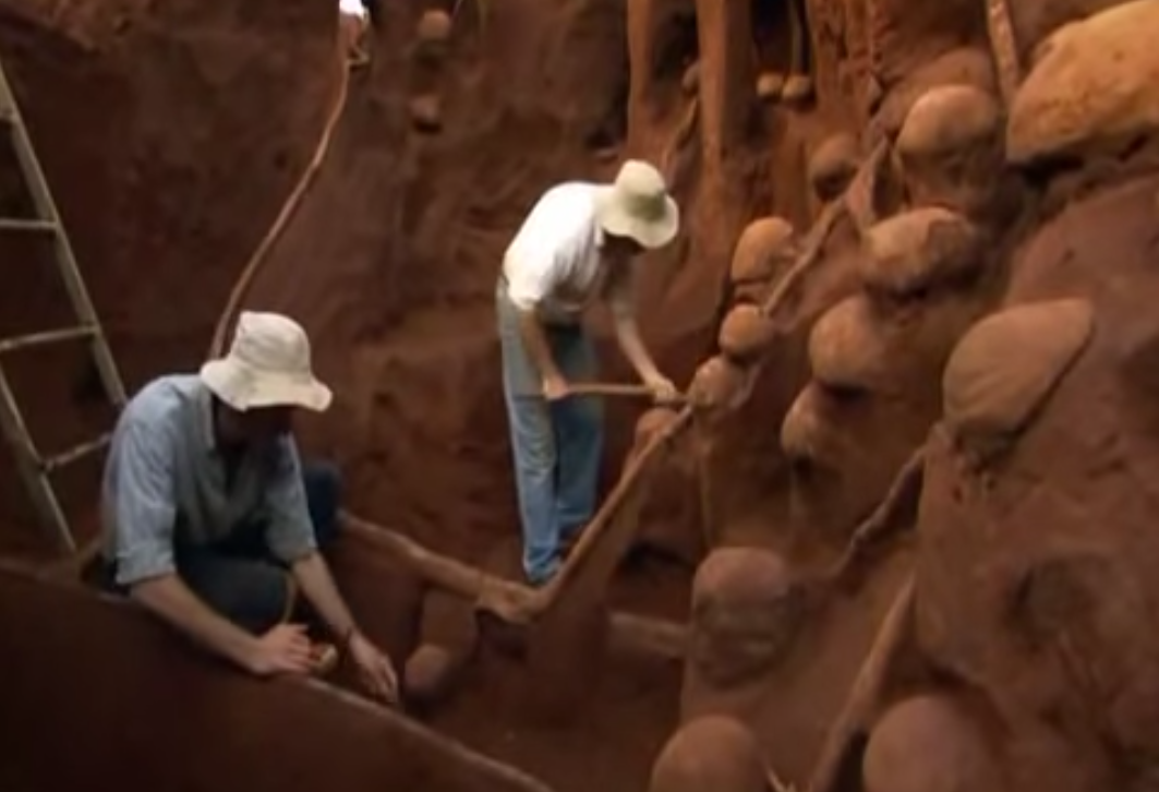 Учёные раскопали колоссальный подземный город муравьёв - видео-08