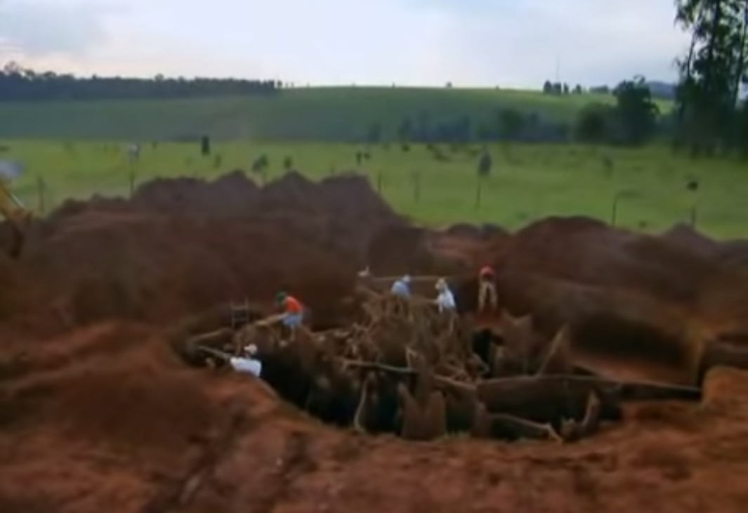 Учёные раскопали колоссальный подземный город муравьёв - видео-05