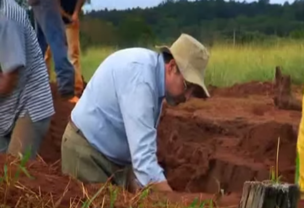 Учёные раскопали колоссальный подземный город муравьёв - видео-04
