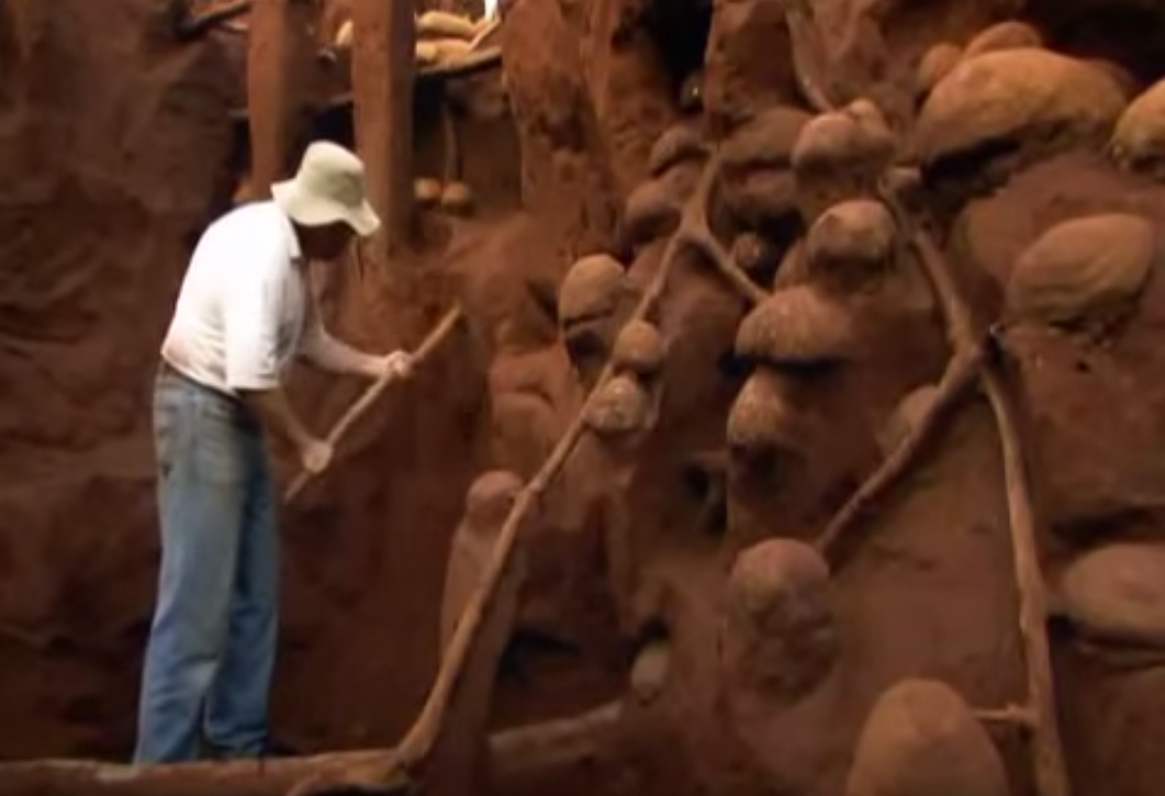 Учёные раскопали колоссальный подземный город муравьёв - видео-06