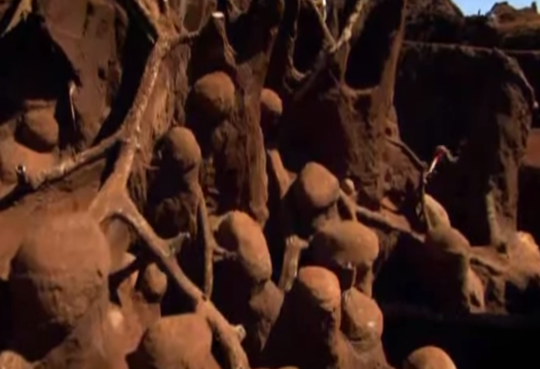 Учёные раскопали колоссальный подземный город муравьёв - видео-11