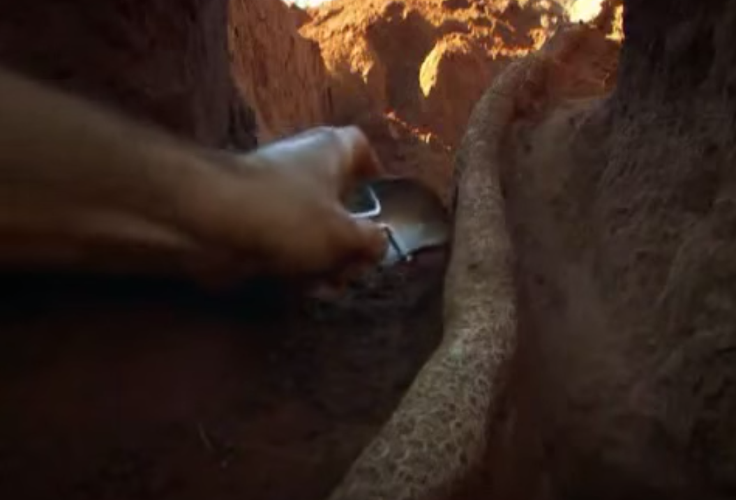 Учёные раскопали колоссальный подземный город муравьёв - видео-09