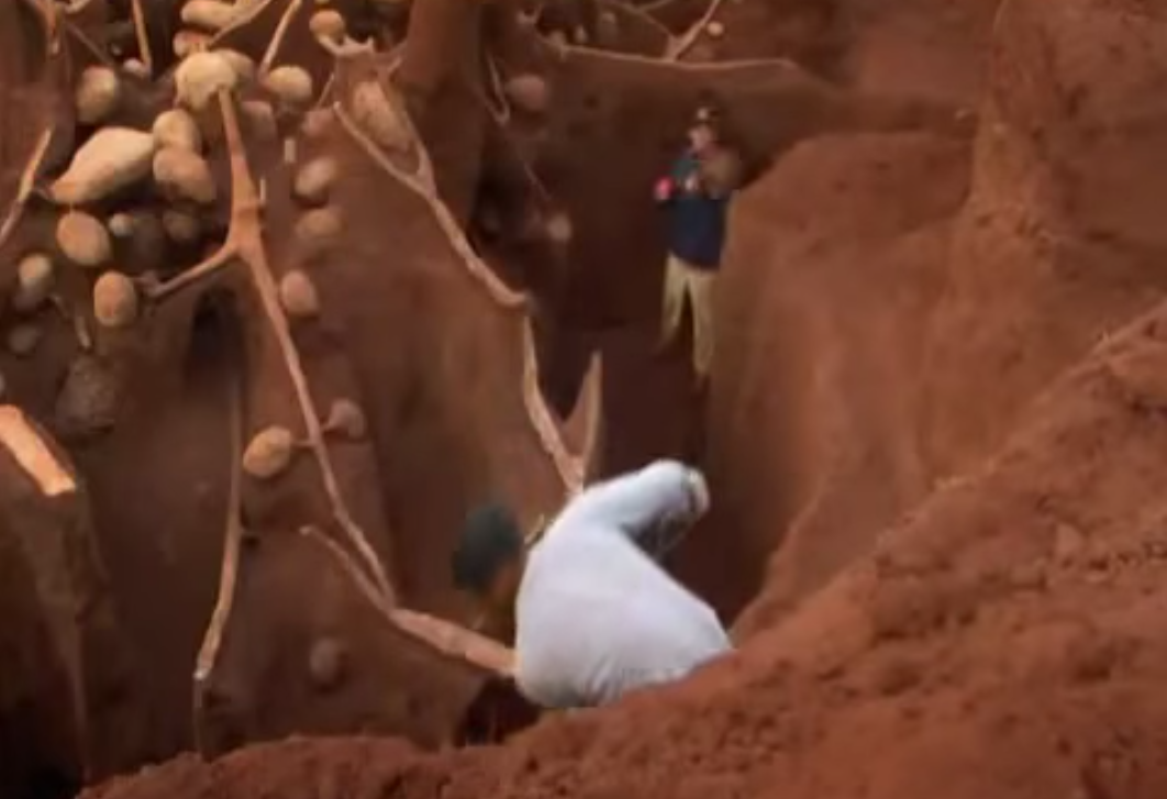 Учёные раскопали колоссальный подземный город муравьёв - видео-10