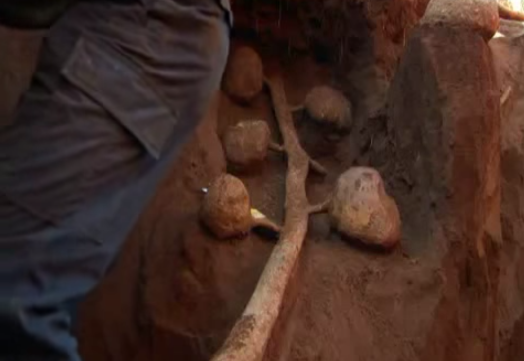 Учёные раскопали колоссальный подземный город муравьёв - видео-07