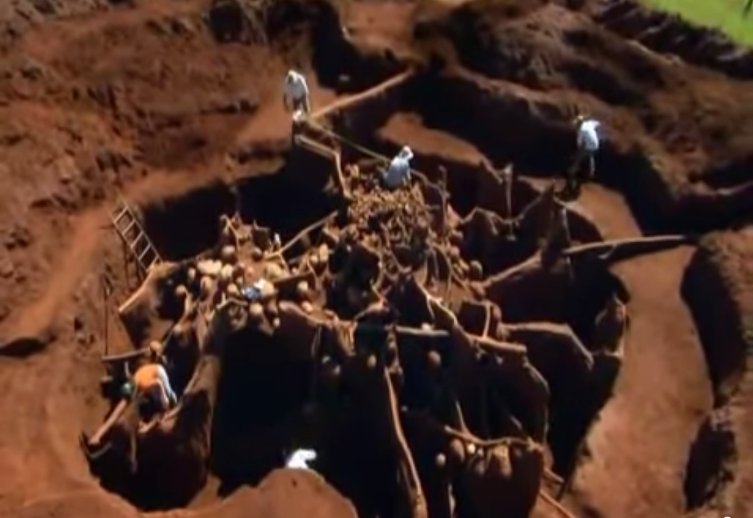 Учёные раскопали колоссальный подземный город муравьёв - видео-12