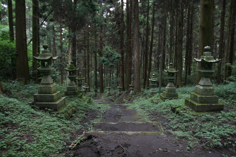 Лесная святыня в Японии - фото