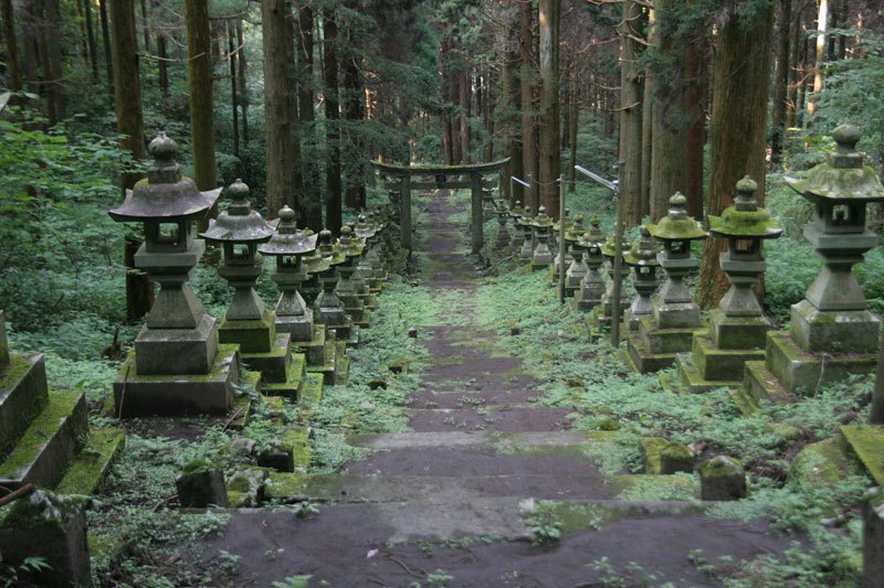 Лесная святыня в Японии - фото