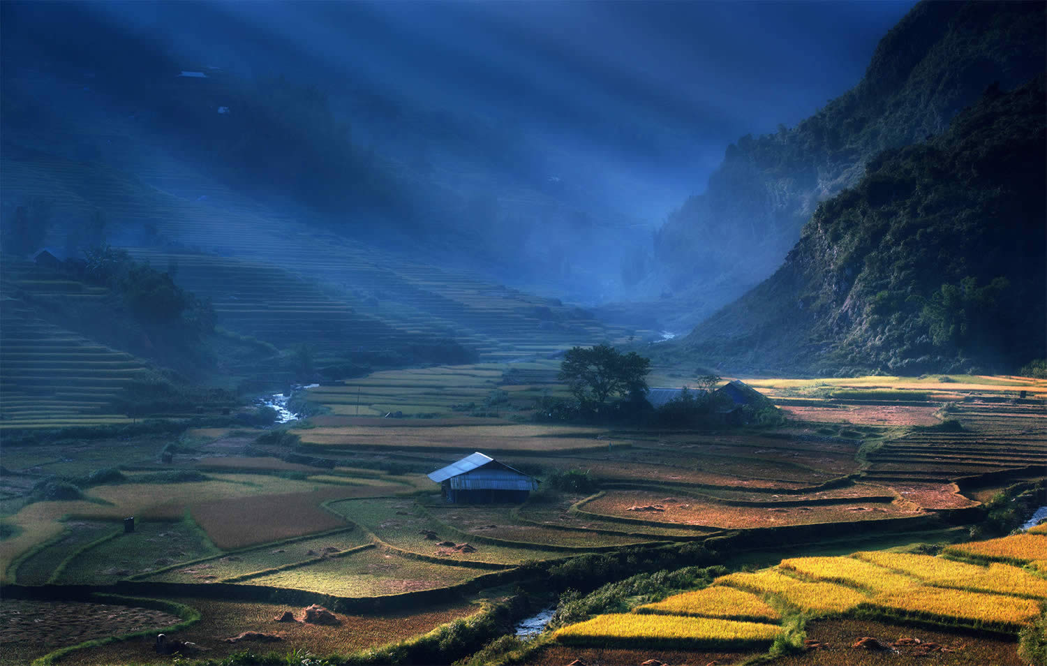 Великолепные рисовые террасы Вьетнама  4