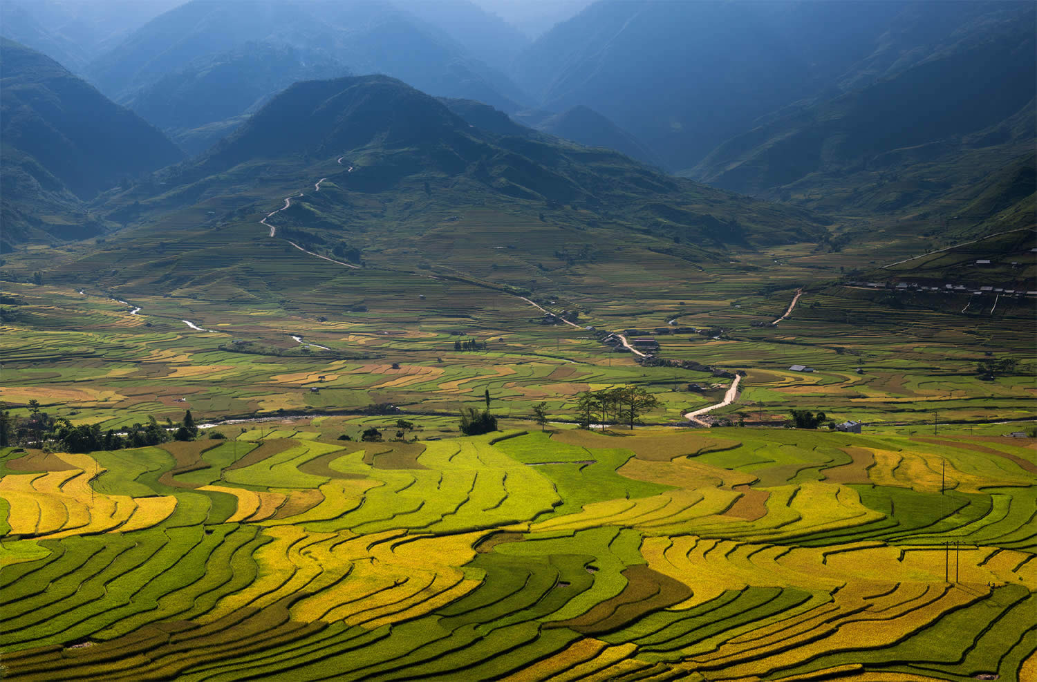 Великолепные рисовые террасы Вьетнама  9