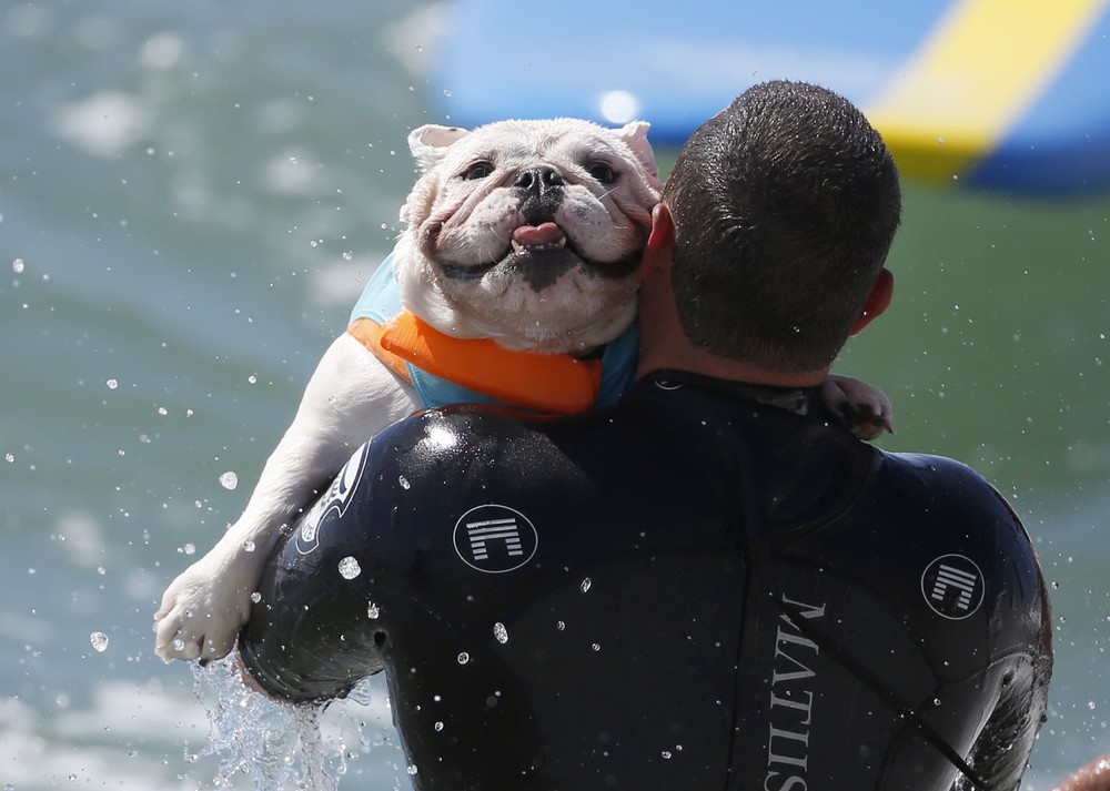 Соревнование собак-сёрфингистов «Surf City Surf Dog» - фоторепортаж - 30