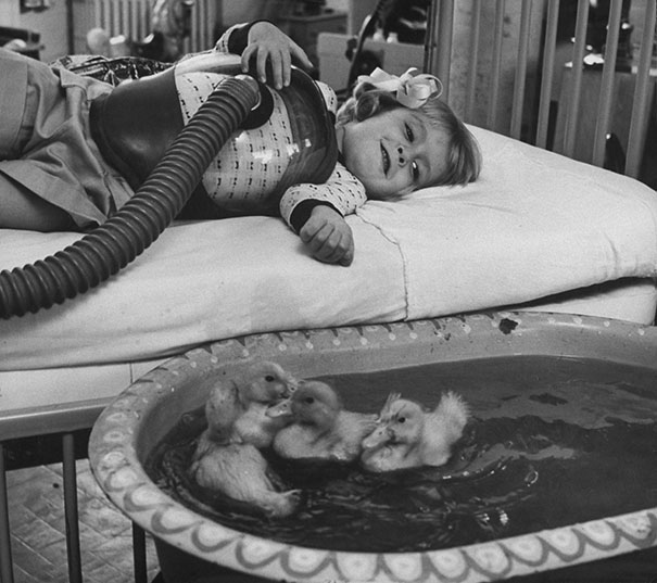 Использование животные в комплексе медицинской терапии, 1956