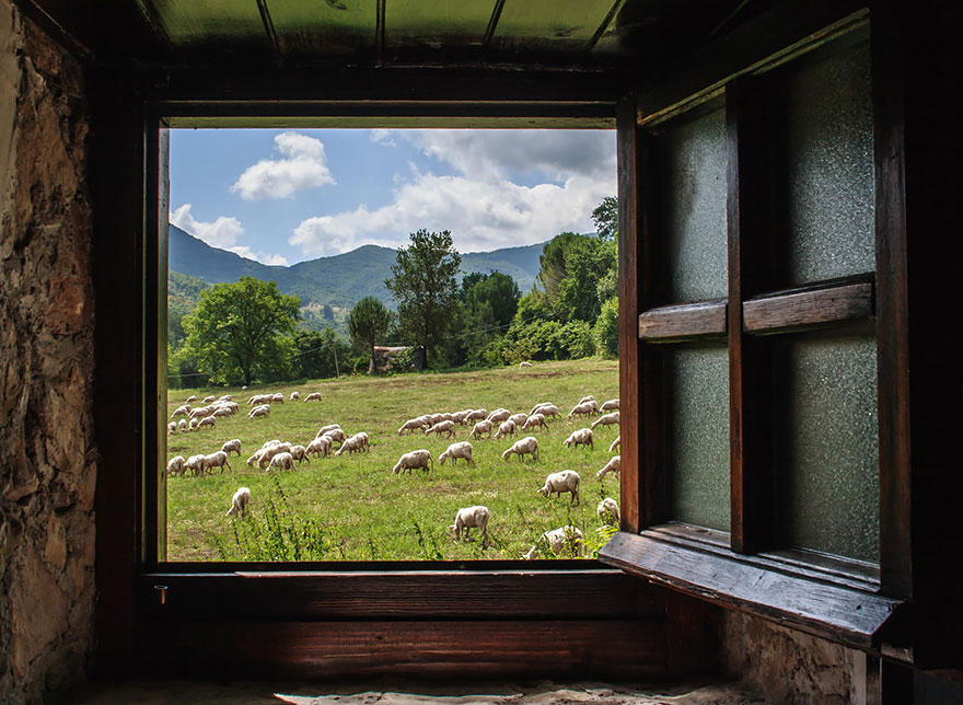 Колоритные пейзажи с овцами - 25 фото-11