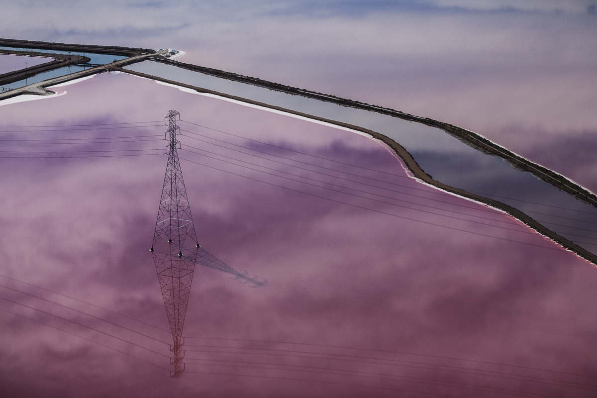 Фиолетовые пруды Сан-Франциско в фотографиях Джулианны Кост
