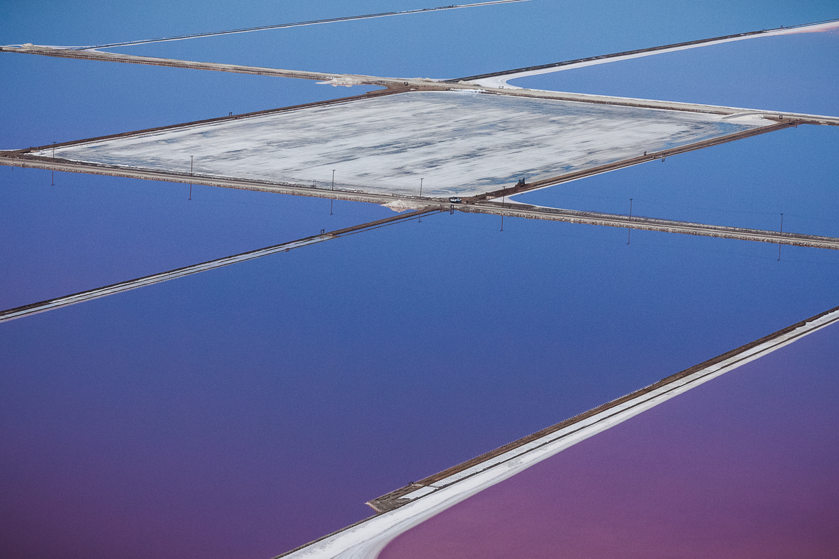 Фиолетовые пруды Сан-Франциско в фотографиях Джулианны Кост
