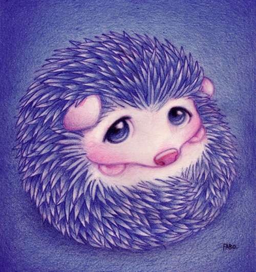 cute animal illustration