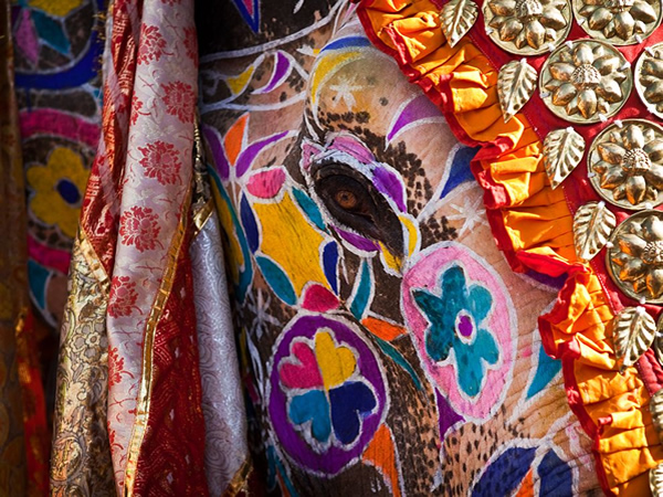 colorfulindia37