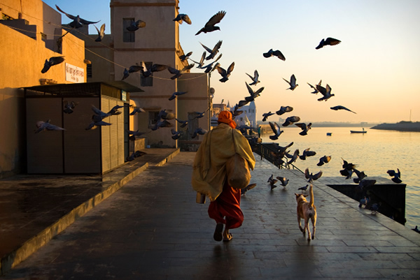 colorfulindia11