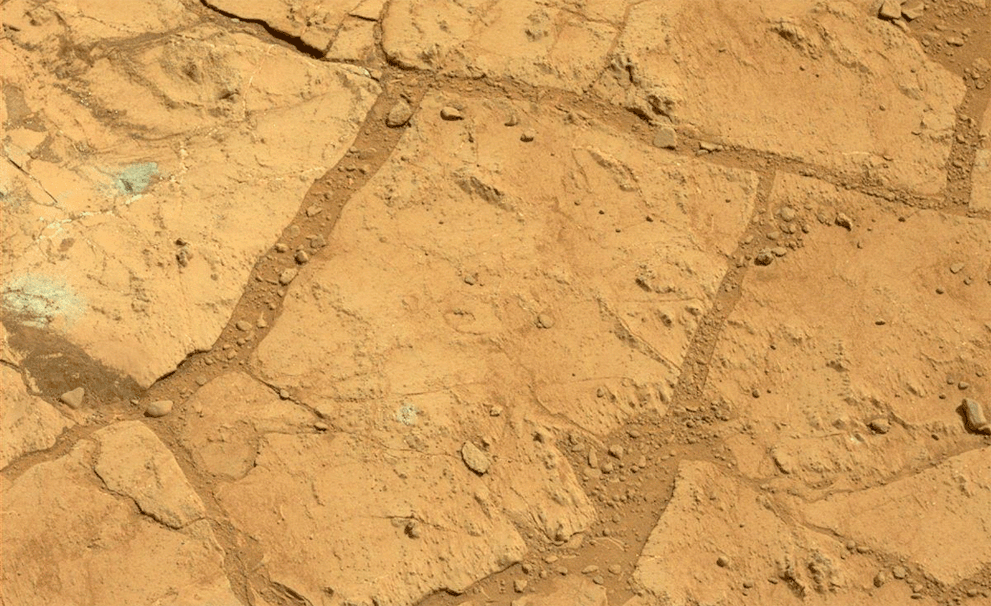 s m12 PIA16762