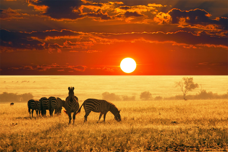 Необыкновенные фотографии Африканских пейзажей loverme