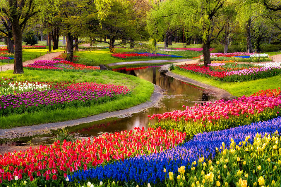 Самые красивые сады мира (65 фото)