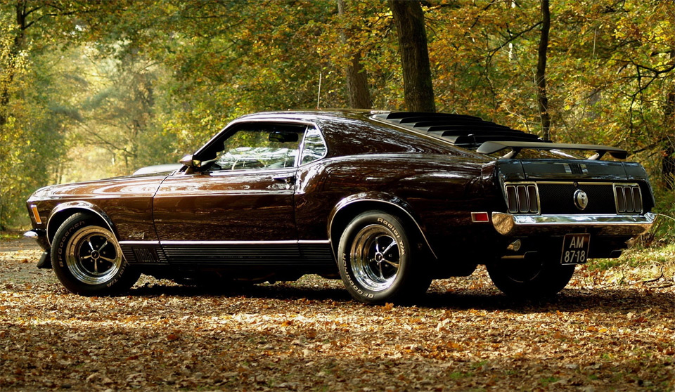 ford-mustang-at-autumn