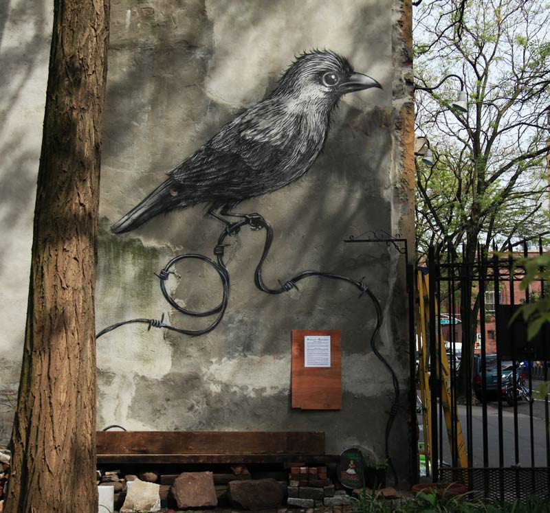 brooklyn-street-art-roa-jaime-rojo-manhattan-12-13-web-5