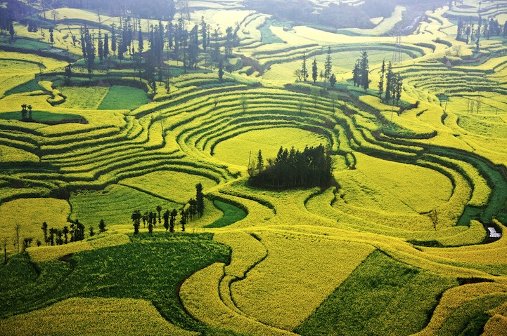 luoping10