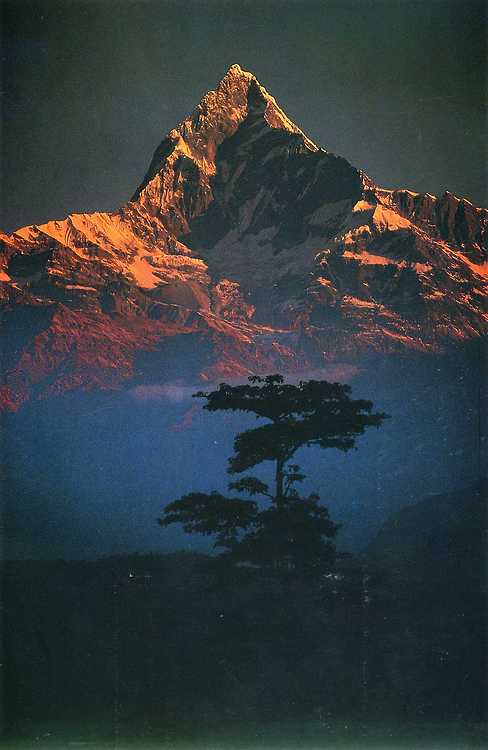 Galen-Rowell-Nepal