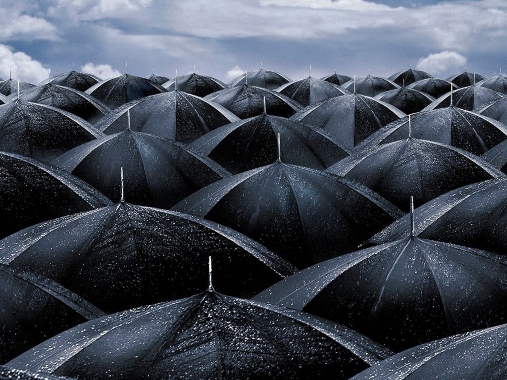 black-umbrellas-wallpapers 37764 1024x768
