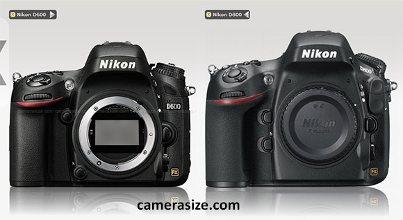 nikon-d600-d800-size-comparison
