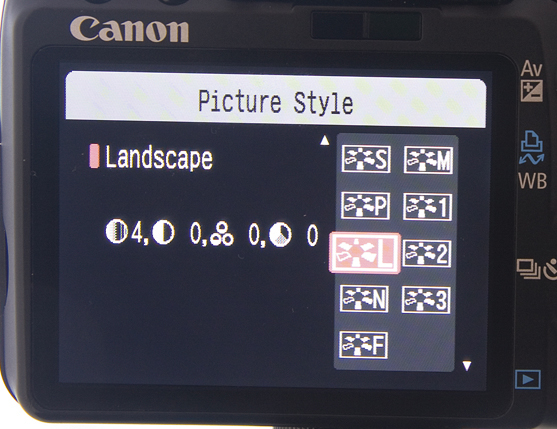 12-Canon DSLR tips CAN22.feature pf.5398picstyle