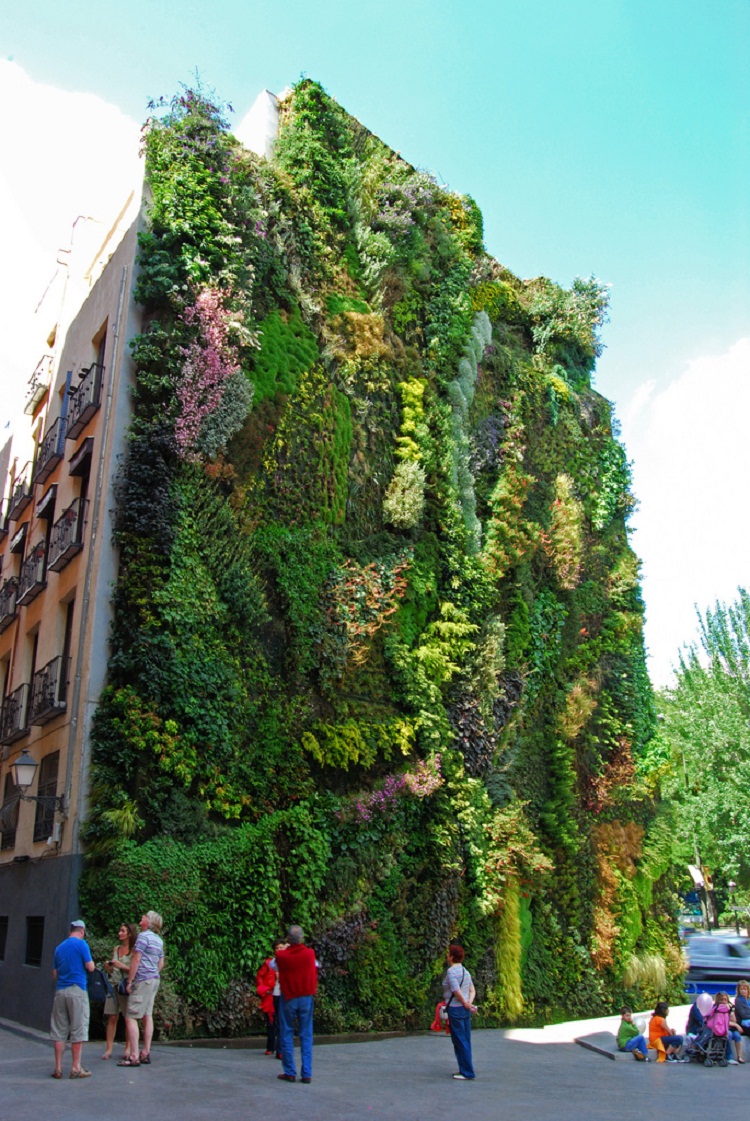 Vertical-Garden.-By-Patrick-Blanc-in-Madrid-Spain