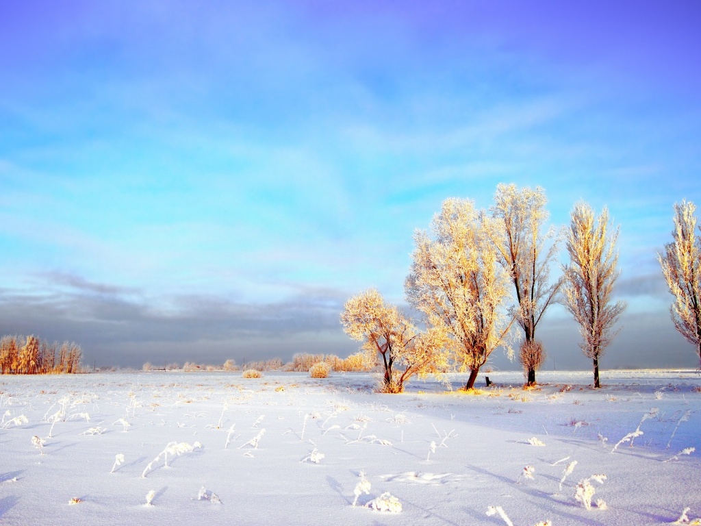 snowy-winter-landscape-wallpapers 35558 1024x768